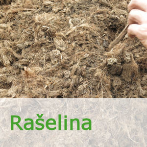 Rašelina