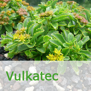 Vulkatec